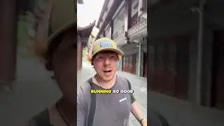 AI walking robot china usa