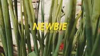 NEWBIE - CINEMATIC REDMI NOTE 8