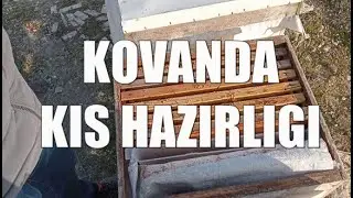 Kışa Girerken Arı Kovanına Şerbet ve Kek Nasıl Verilir?