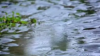 Rain Sounds for Sleeping  🌧️2 Hours