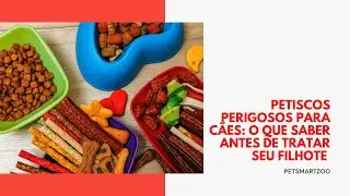 Petiscos para cães - Cuidado com seu filhote