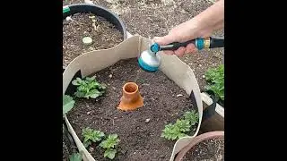 So quick and easy filling the oya! these potatoes are gonna be so happy! 