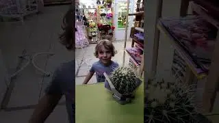 Деньги Влад А4/Купил кактус на БАНКНОТЫ ВЛАДА БУМАГИ А4/Что можно купить на 1000 владей...