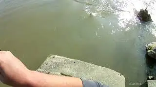 Распер от  Янтра
