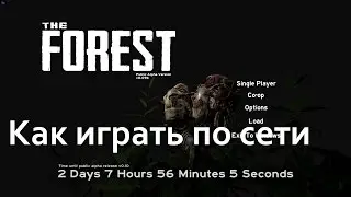 Как играть в The Forest по сети на пиратке