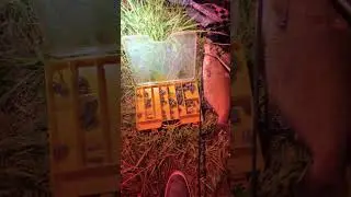 Подарю Находку рыбакам