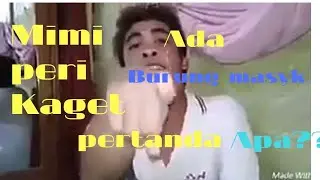 Rumah Mimi peri Di guna guna