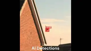 Using AI to automatically film birds at 1000fps