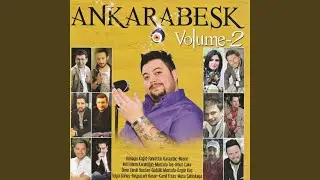 Alıngan Yıllar