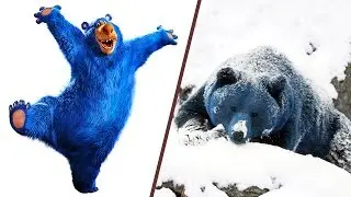 Wonder Park in Real Life! Main Characters