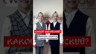 Какой на самом деле китайский язык? | Школа китайского | Twins Chinese