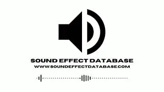 Forest Ambience (7) Sound Effect