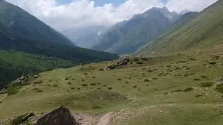 Фестиваль 