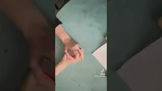 1 сентября 2024 г.