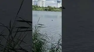 ПРЕКРАСНЫЕ МГНОВЕНИЯ!!!