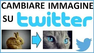 come cambiare immagine di profilo su twitter da pc | come mettere una nuova foto su twitter
