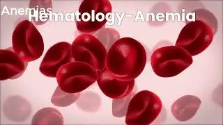 Hematology-Anemia AMT/ASCP Certification Exam Prep