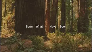 Seen What I Have Seen - Seth Carpenter (Lyric Video)