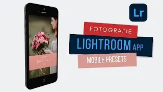 Lightroom Mobile Presets importieren