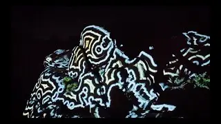 Lightform Outdoor Projections at Joshua Tree National Park - LFC Kit