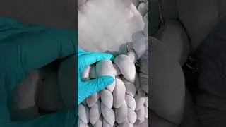 Редкий дизайн🔆 ЗАКАЗАТЬ В ГРУППЕ ВК👉🏼«Наборы Канцелярии» 