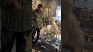 Best customised poly fiber art for art lovers