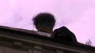 MOV042