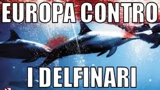 Delfini: ecco perché l'Europa si mobilita per far chiudere i delfinari