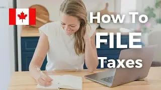 The Beginner’s Guide To Filing Your Taxes In Canada