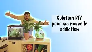 Comment fabriquer un meuble parfait pour mes aquariums aquarium - Kallax inside