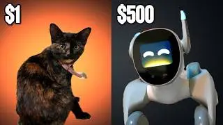 $1 Kitten VS $500 Robot Dog