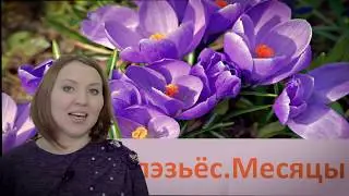 Месяцы