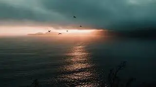 Jóhann Jóhannsson - Fordlândia (Slowed + reverb)