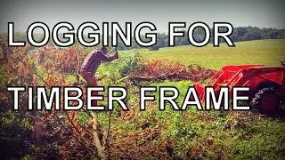 LOGGING FOR TIMBER FRAMING COMPONENTS