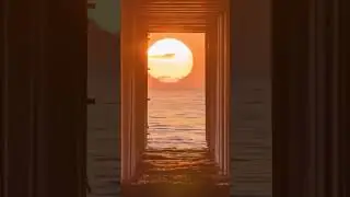 19 июня 2023 г.