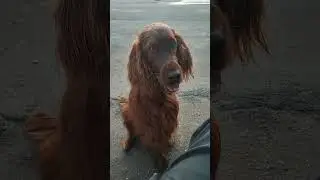 Ну скажи мне что-нибудь.