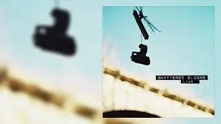 Shattered Blooms - Liar (Official Audio)