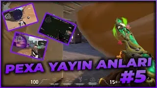 SAKİN OL SAKİİİİİN | VALORANT PEXA YAYIN ANLARI #5