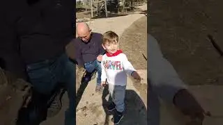 Давид кормит кенгуру