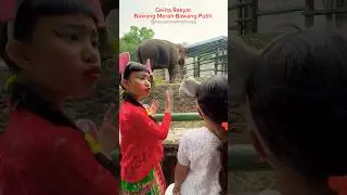 Bawang Merah Sok Tau deh🤪🤪 #shortvideos #ceritarakyat #bawangmerahbawangputih