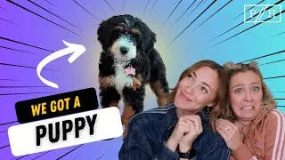 WE GOT A PUPPY (for one day)