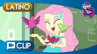 MLP Equestria Girls Serie Digital Temporada 1: Me Lo Dijo Un Pajarito Español Latino