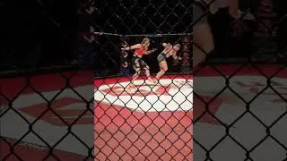 Mma strategy