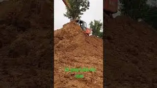 cuộc sống mưu sinh.
