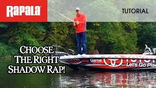 Choosing the right one: Rapala® Shadow Rap® & Shadow Rap® Deep