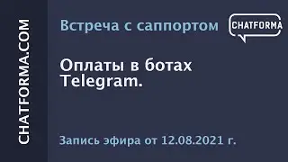 Встреча с саппортом. Оплаты в ботах Telegram