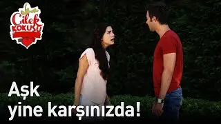 Aşk Yine Karşınızda! - Çilek Kokusu