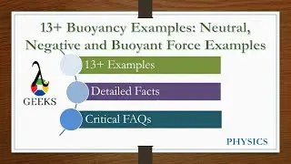 13+ Buoyancy Examples: Neutral, Negative and Buoyant Force Examples
