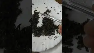 ситуация в мире. сказка