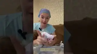 Ви не правильно …